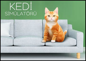 Kedi Simülatörü