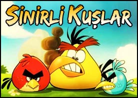 Cep telefonlarının en meşhur oyunu Angry Birds :) - 1168114