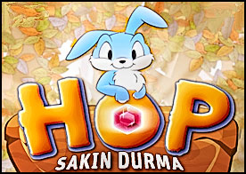 Sevimli tavşanımız HOP dur durak bilmeden koşuyor