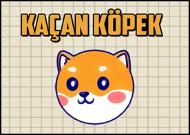 Kapalı kalmış zavallı köpeği uygun zamanlama ile açılan kapıdan geçirip kurtarın