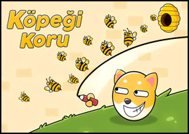 Sevimli köpeğimizi sinirli ve saldırgan arılardan koru
