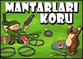Masum mantarları kirpilere ayılara örümceklere ve kuşlara karşı koru