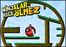 Ninjaları öldürmek neredeyse imkansızdır hele bu bir suikastçı bir ninja ise kendine daha dikkat etmelisin