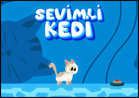 Karnı çok acıkan küçük ve cesur kedimiz lezzetli yiyecekler bulmak için yola koyulur