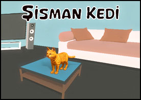 Sevimli bir kedi olarak evin odalarında gez dolaş fareleri yakala keyfini sür