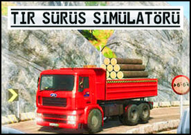 Usta bir tır şoförü olmak için tüm istekleri başarı ile yerine getir