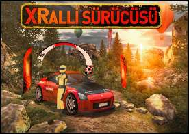 Tecrübeli bir şoför olarak yeteneğinizi sergileyin ve acemi bir sürücüden tecrübeli bir ralli sürücüsüne dönüşün